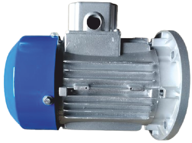 Electric Motor