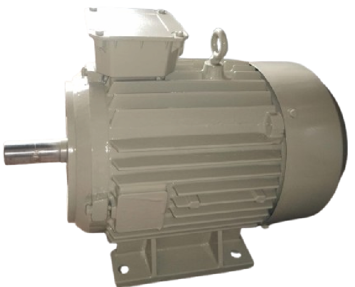 Electric Motor